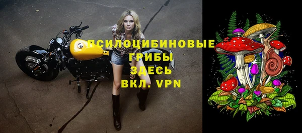 твердый Пролетарск